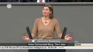 Anke Domscheit-Berg, DIE LINKE: Künstliche Intelligenz muss dem Gemeinwohl dienen