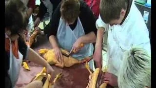 reportage groupe foie gras.wmv