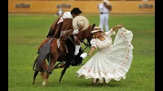 MARINERA  CON CABALLO DE PASO  PERUANO ELEGANTE