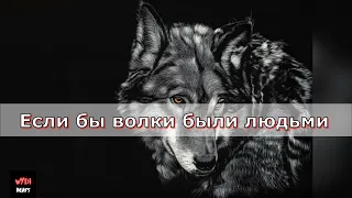 T1One – Волки Текст песни