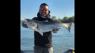 Striper fishing at the California Delta. Crazy top water BLOW UP!  MY NEW PB! 10LBS 30inch STRIPER!