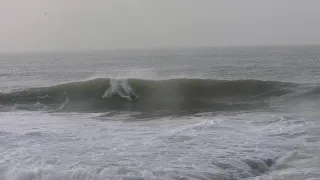 Wave of the Week