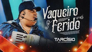 VAQUEIRO FERIDO - Tarcísio do Acordeon (DVD Meu Sonho)