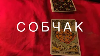 🔮 Ксения Собчак