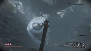 Sekiro: Shadows Die Twice - Great Serpent Execution