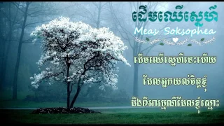 Meas Soksophea daerm Cher Snae ដើមឈើស្នេហ៍