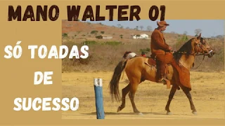 Só toadas com Mano Walter 2020 (as melhores toadas na voz dele)