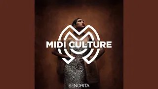 Senorita (Radio Edit)