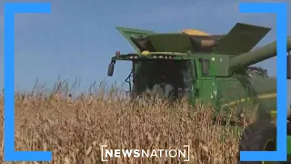 Agricultural tech theft: Iowa farmers say China is stealing American seeds | Elizabeth Vargas Report
