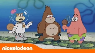 Bob Esponja | Gorila Suelto | Nickelodeon en Español