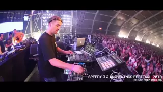 Speedy J @ Awakenings Festival 2013