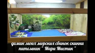 СТЕЛЛАЖ ДЛЯ МОРСКИХ СВИНОК - МЫ  СДЕЛАЛИ САМИ 26.10.2018 ( ПИТОМНИК "МАРИ МИСТИК" )