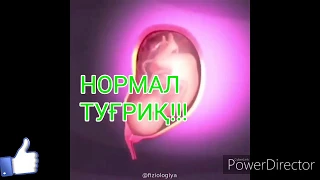 НОРМАЛ ТУҒРУҚ ВА КЕСЕРВА ЖАРАЙОНЛАРИ!!! #РОДЫ