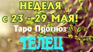 ТЕЛЕЦ ♉🌷🌷🌷 НЕДЕЛЯ с 23 - 29 МАЯ 2022 года Таро Прогноз ГОРОСКОП Angel Tarot Forecasts