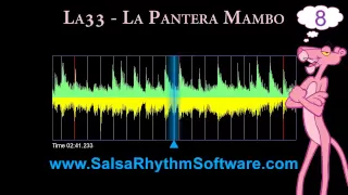 Salsa Timing - La Pantera Mambo (HD)