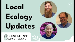 Local Ecology Updates: Forest Pests & Living Shorelines