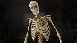 Дело о таинственном скелете - Легенды Уголовного Розыска