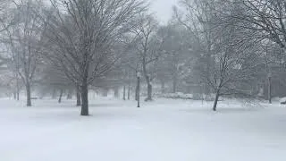 Nor'easter Snowstorm possibly Filmed a Yeti/Bigfoot /s