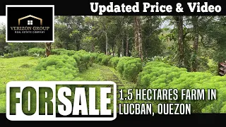 For Sale 1.5 Hectare Farm in Lucban | Best Deal - Updated Video