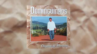 Dominguinhos - "Sanfona Sentida" (Chegando de Mansinho/2002)