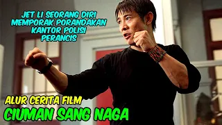 KETIKA JET LI SEORANG DIRI MEMPORAK PORANDAKAN KANTOR POLISI PERANCIS | ALUR CERITA FILM JET LI