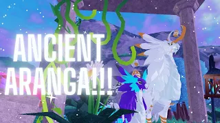 Ancient Aranga!!! SHOWCASE -Dragon Adventures- ROBLOX