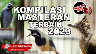 #1🔴Bikin Melongo Isian Mewah Semua❗️KOMPILASI Masteran Juara Terbaru 2023