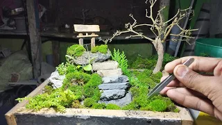 get make ll moss ll moss garden ll moss mini structure ll mini garden ll moss miniature #moss