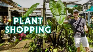 LET'S GO PLANT SHOPPING - small nursery edition