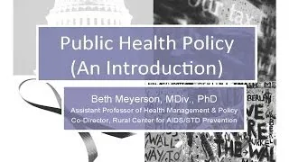 Defining health policy big P and little p November 2013