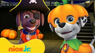 PAW Patrol Rescue a Spooky Ghost Ship! w/ Marshall, Zuma, & Ryder | Nick Jr.