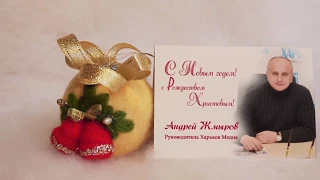Новогоднее поздравление 2018 - А.Жмыров (Харьков Медиа)