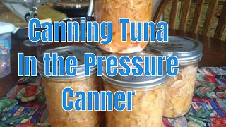 Canning Ahi Tuna in the Pressure Canner
