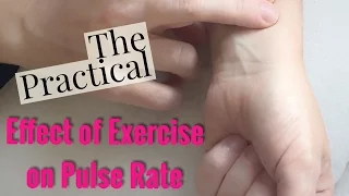 Examining the Effect of Exercise on Pulse Rate-Updated-Leaving Cert Biology