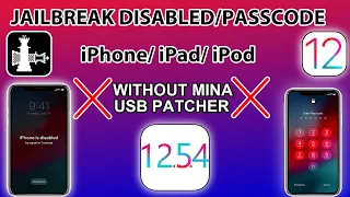 Checkra1n Jailbreak Disabled/Passcode iPhone/iPad/iPod iOS 12.5.4 iPhone 5S/6/6+ iPadMini 2/3 iPod6