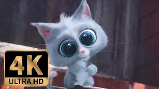 The Secret Life of Pets (2016) - Max and Duke Vs Cats (2/10)