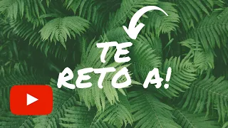 TE RETO A: Preguntas|Respuestas con WHIPPED CREAM!!