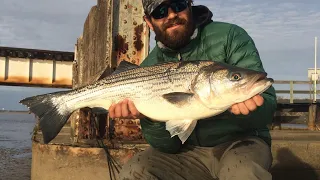 How to Locate and Target Big Striped Bass