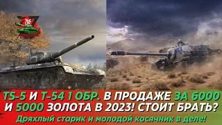 TS-5 И Т-54 1 ОБР. - ВСЕГО ЗА 6000 И 5000 ЗОЛОТА! СТОИТ ЛИ ИХ ПОКУПАТЬ В 2023? Tanks Blitz | ZAF