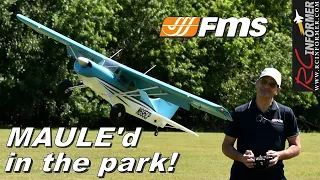 FMS MAULE 1500mm *New Release* FIRST LOOK!