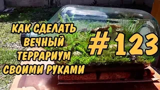 #123 ВЕЧНЫЙ ТЕРРАРИУМ СВОИМИ РУКАМИ. РНО. EVERLASTING TERRARIUM DIY