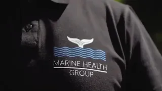 Marine Health Group - моя сетевая компания!