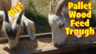 WOW Simple DIY Goat Trough Build | Pallet Wood Feed Trough