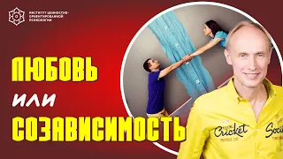 #Shorts Любовь или созависимость? Как быть счастливым в отношениях? Олег Гадецкий