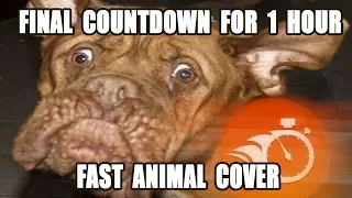 FINAL COUNTDOWN (making fast animal cover for 1 hour)