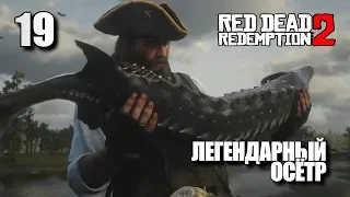 RED DEAD REDEMPTION 2 • Прохождение на ПК #19 • ЛЕГЕНДАРНЫЙ ОСЁТР