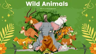 Wild Animals for kids - Vocabulary for kids | Animals Guess
