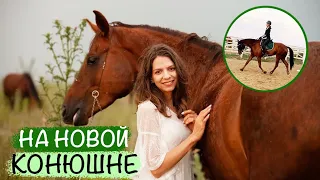 МОЯ ЛОШАДЬ НА НОВОЙ КОНЮШНЕ 🌾