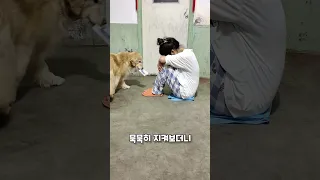 주인에게 휴지를 가져다주는.. 스윗해!