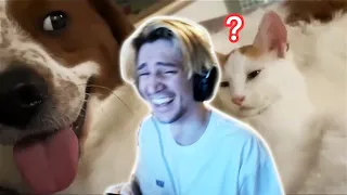 xQc CRIES FROM LAUGHING at UNUSUAL MEMES V178